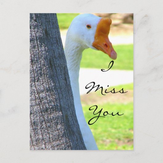 Liebe/beliebiger Fall_Postkarte Postkarte (Vorderseite)