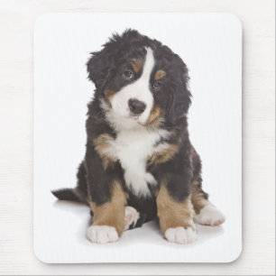 Liebe Berner Sennenhund Welpe Mauspad
