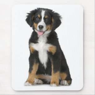 Liebe Berner Sennenhund Welpe Mauspad