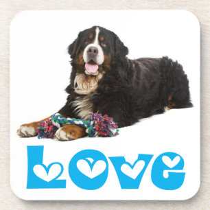 Liebe Berner Sennenhund Welpen Hund Untersetzer Se