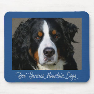 Liebe Berner Sennenhund Welpen Mauspad