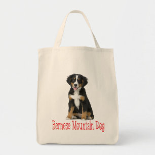 Liebe Berner Sennenhund Welpen Rettung Adoption Tragetasche