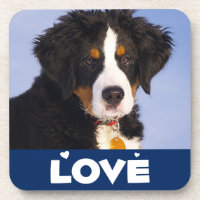 Liebe Berner Sennenhund Welpen Untersetzer Set