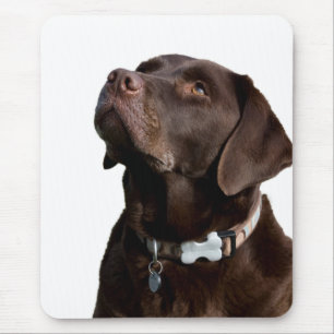 Liebe Black & Brown Labrador Retriever Mouse Pad Mousepad