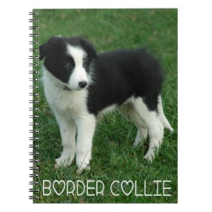 Liebe Black & White Border Collie Puppy Doppy Jour Notizblock