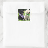 Liebe Black & Yellow Labrador Retriever Puppy Hund Quadratischer Aufkleber (Tasche)