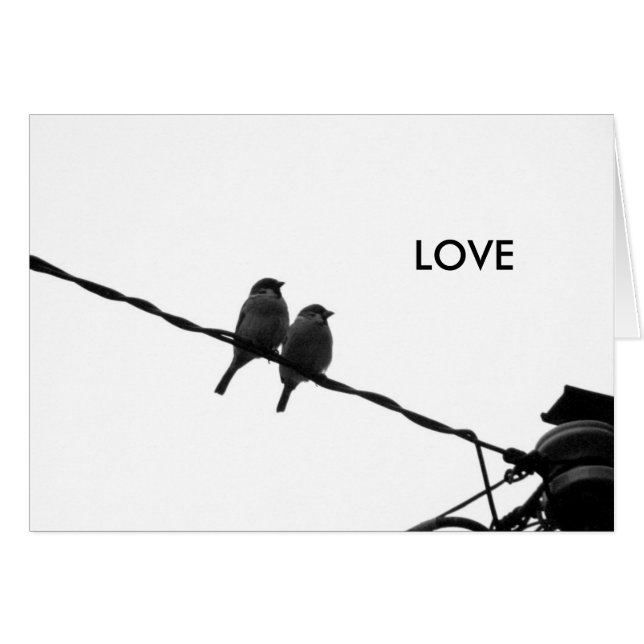 Liebe/Blick in die gleiche Richtung (Vorderseite (Horizontal))