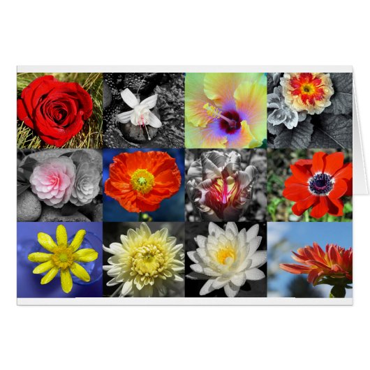 Liebe Blume FotoCollage (Vorderseite (Horizontal))