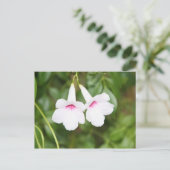 Liebe Blume Postkarte (Stehend Vorderseite)