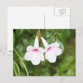 Liebe Blume Postkarte (Vorne/Hinten)