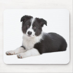 Liebe Border Collie Welpe Hund Mauspad