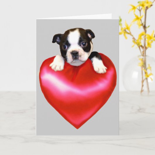 Liebe Boston Terrier Grußkarte Karte (Gelbe Blume)