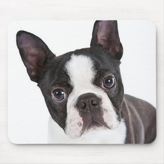 Liebe Boston Terrier Welpe Hund Computer Mousepad (Vorne)