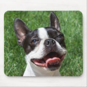 Liebe Boston Terrier Welpe Hund Computer Mousepad (Vorne)