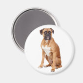 Liebe Boxer Puppy Dog Kühlschrankmagnet (Vorderseite/Rückseite)