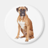 Liebe Boxer Puppy Dog Kühlschrankmagnet (Vorne)