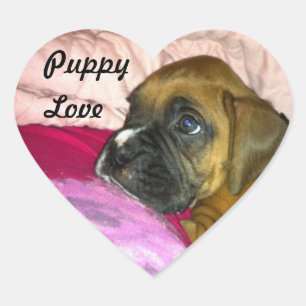 Liebe Boxer Sticker Dexter