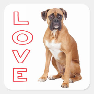 Liebe Boxer Welpe Hund Gruß Aufkleber