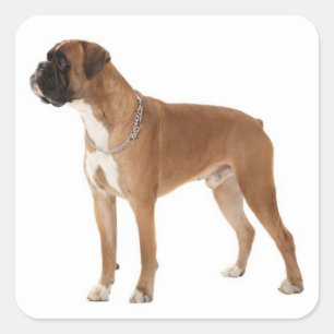 Liebe Boxer Welpe Hund Gruß Aufkleber