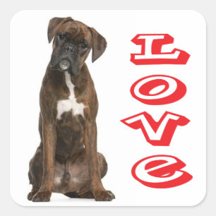 Liebe Boxer Welpe Hund Gruß Aufkleber