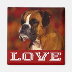 Liebe Boxer Welpe Hund Kühlschrank Magnet
