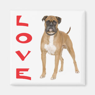 Liebe Boxer Welpe Hund Kühlschrankmagnet