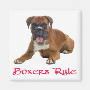 Liebe Boxer Welpe Hund Kühlschrankmagnet
