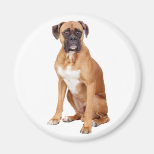 Liebe Boxer Welpe Hund Kühlschrankmagnet