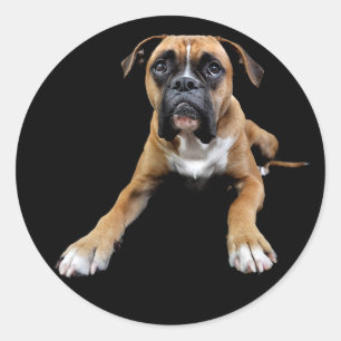 Liebe Boxer Welpen Hund Schwarz Gruß Aufkleber