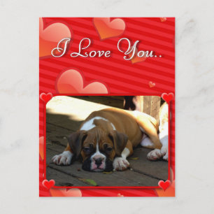 Liebe Boxer Welpenkarte Postkarte