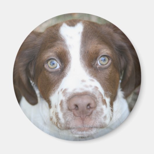 Liebe Bretagne Magnet (Vorne)