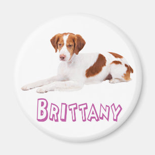 Liebe Brittany Spaniel Welpen Hund Magnet