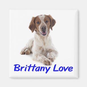 Liebe Brittany Spaniel Welpenhund Magnet