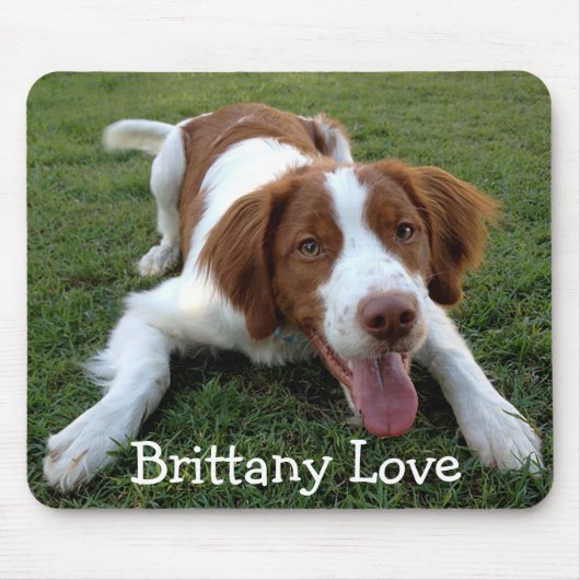 Liebe Brittany Spanisch Welpe Hund Mousepad (Vorne)