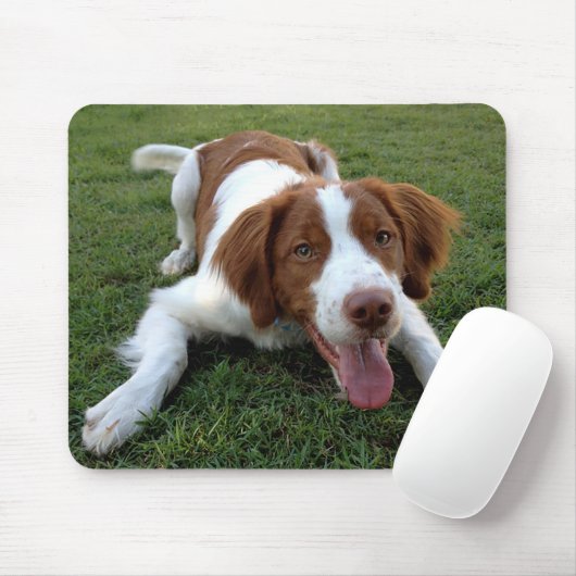 Liebe Brittany Spanisch Welpe Hund Mousepad (Mit Mouse)