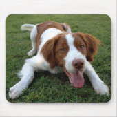 Liebe Brittany Spanisch Welpe Hund Mousepad (Vorne)