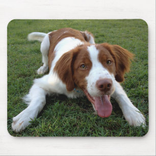 Liebe Brittany Spanisch Welpe Hund Mousepad