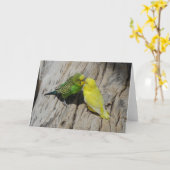 Liebe Budgies Karte (Gelbe Blume)
