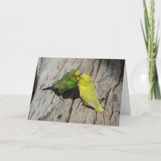 Liebe Budgies Karte