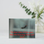 Liebe Bug Fieber Postkarte (Stehend Vorderseite)