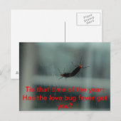 Liebe Bug Fieber Postkarte (Vorne/Hinten)