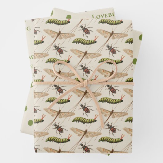 Liebe Bug Insect Babydusche Geschenkpapier Set (Beispiel)