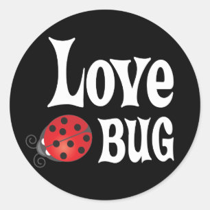 Liebe Bug - Ladybug Runder Aufkleber