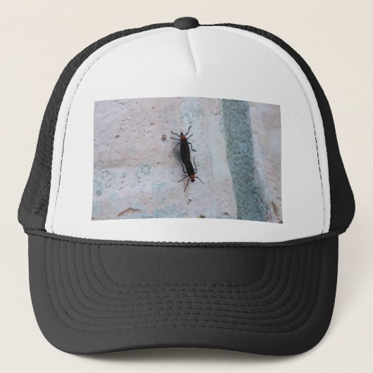 Liebe Bugs Truckerkappe (Vorderseite)