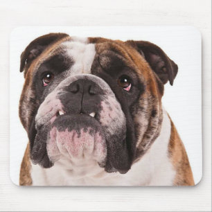 Liebe Bulldoggen-Welpen-Mauspad Mousepad