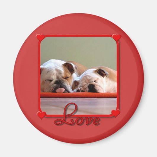 Liebe Bulldogs-Magnet Magnet (Vorne)