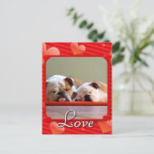 Liebe Bulldogs Postkarte (Stehend Vorderseite)