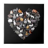 Liebe Bunnies Funny Rabbit Heart Fliese (Vorderseite)