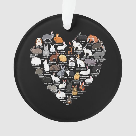 Liebe Bunnies Funny Rabbit Heart Ornament (Vorderseite)