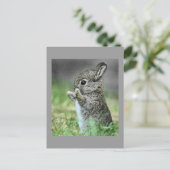 Liebe Bunny Hug Postkarte (Stehend Vorderseite)